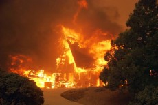 ক্যালিফোর্নিয়ার ববক্যাট ফায়ারে ধসে গেছে ৫২টি বাড়ি