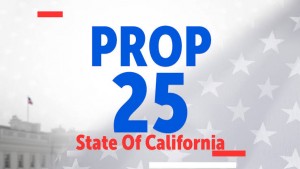 প্রস্তাবনা ২৫: ক্যাশ বেইল আইনের সংশোধন হবে