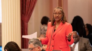 লস এঞ্জেলসের নতুন ডিস্ট্রিক্ট সুপারভাইজার হলি মিচেল