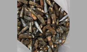 মাটির নিচে পাওয়া গেল ৩৪৪টি গুলি