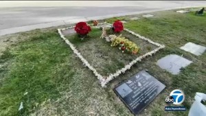 জমছে মৃতদেহ: লস এঞ্জেলেসে স্থগিত 'এয়ার কোয়ালিটি রুলস'