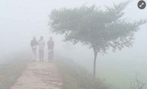 দেশের ৩ অঞ্চলে অব্যাহত শৈত্যপ্রবাহ