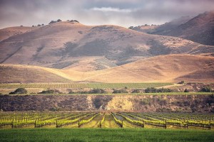 সান্তা মারিয়া ভ্যালি ভ্রমণে পাবেন ১০০ ডলার!