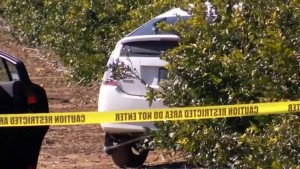 লস এঞ্জেলেসে আততায়ীর গুলিতে কিশোর আহত