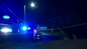 ক্যালিফোর্নিয়ায় ছুরিকাঘাতে মা-মেয়ের মৃত্যু, তদন্তে পুলিশ