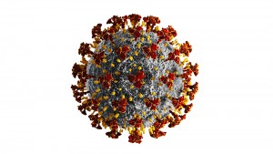 লস এঞ্জলেসে অব্যাহতভাবে কমছে করোনা আক্রান্ত ও মৃতের সংখ্যা