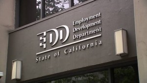 আড়াই লাখ ডলার জালিয়াতির দায়ে আটক সাবেক ইডিডি কর্মী