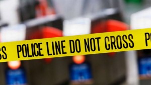 পার্কের ডাস্টবিন থেকে নারীর মৃতদেহ উদ্ধার: ছেলে আটক