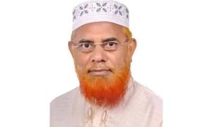 হেফাজতের নায়েবে আমির অধ্যাপক আহমদ আবদুল কাদের গ্রেফতার
