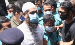 পুলিশের ডিআইজির অনুরোধে সেদিন বায়তুল মোকাররমে গিয়েছিলাম: আদালতে মামুনুল হক