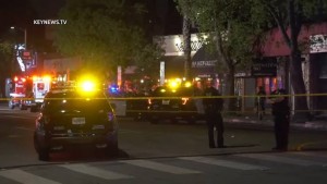 লস এঞ্জেলেসে পানশালার সামনে গোলাগুলি, আহত ৩