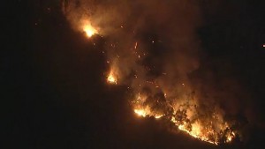 দাবানলের আগুন নিয়ন্ত্রণে আসছে, আটক সন্দেহভাজন