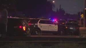 লস এঞ্জেলেসে গুলি করে তরুণ হত্যা, আটক ১