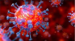 করোনা সংক্রমণের ৮০ শতাংশই ভারতীয় ধরণ