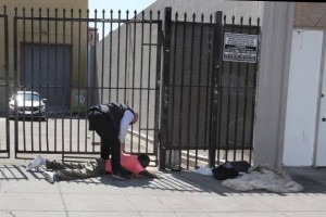 নিউসামের উপর চড়াও হওয়ার অভিযোগে আটক এক ব্যক্তি