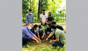 চবিতে রোটার‍্যাক্ট ক্লাব রেইনবো ও ন্যাচার ক্লাবের বৃক্ষরোপণ