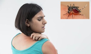 একদিনে ডেঙ্গু আক্রান্তের সর্বোচ্চ রেকর্ড