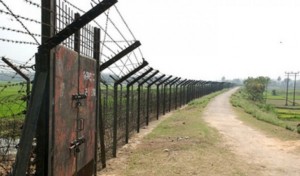 সিলেটের কানাইঘাটে বিএসএফের গুলিতে দুই বাংলাদেশি নিহত