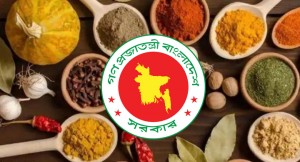 মসলা চাষ শিখতে তৃতীয় দফায় বিদেশ যাচ্ছেন ২০ কর্মকর্তা