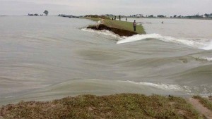 সুনামগঞ্জে ডুবে যাচ্ছে হাজার হাজার হেক্টর বোরো ধান, কৃষকদের আহাজারি