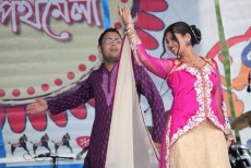 ওয়াশিংটন ডিসিতে ঐতিহ্যবাহী প্রিয় বাংলা পথমেলা-২০১৫