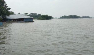 বন্যায় সিলেটে মৃত্যু বেড়ে ৫১
