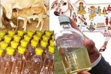 গরুর মূত্র ও গোবর থেকে প্রসাধনী!