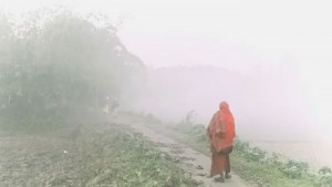 তেঁতুলিয়ায় তাপমাত্রা নেমেছে ৭ ডিগ্রিতে