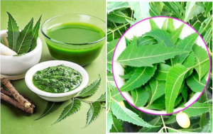 নিমের উপকারিতা