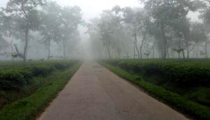 মৌলভীবাজারে সর্বনিম্ন তাপমাত্রা ৭ দশমিক ৩ ডিগ্রি সেলসিয়াস