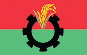 ১৮ ফেব্রুয়ারি সব মহানগরে পদযাত্রা করবে বিএনপি