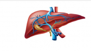 রমজানে ফ্যাটিলিভারের রোগীদের খাবার