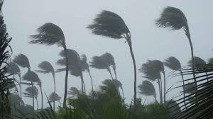 বৃষ্টি হতে পারে আজ যেসব বিভাগে