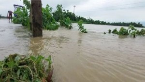 পাহাড়ি ঢলে সুনামগঞ্জে নদ-নদীর পানি বাড়ছে