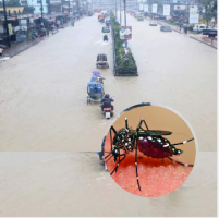 সিলেটে বন্যার সাথে সাথে ডেঙ্গুর আতঙ্ক