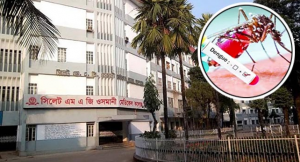 সিলেটজুড়ে আতংক বাড়াচ্ছে ডেঙ্গু, বাড়ছে ডেঙ্গু রোগী