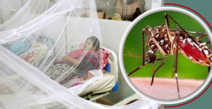 ডেঙ্গু পরিস্থিতি নিয়ে ‘হার্ডলাইনে’ সিসিক