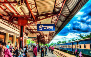 শ্রীমঙ্গলে রেললাইনের উপর থেকে এসএসসি পরীক্ষার্থীর বিচ্ছিন্ন মরদেহ উদ্ধার