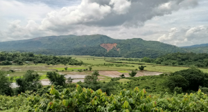 ভারতের কয়লা কোয়ারীতে পাথর চাপায় বাংলাদেশীর মৃত্যু