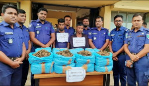 গাঁজাসহ শালা-দুলাভাই গ্রেফতার