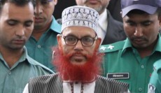 সাঈদীর মৃত্যুদণ্ড চেয়ে রাষ্ট্রপক্ষের রিভিউ আবেদন