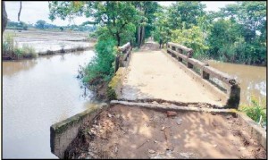 জরাজীর্ণ এক ব্রিজ!