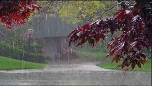 সিলেটসহ সারাদেশে আগামী ৩ দিন বৃষ্টি চলবে