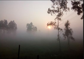 শীতের আমেজ শুরু