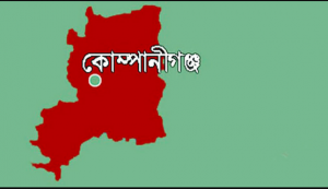 বিজিবি-চোরাকারবারিদের সংঘর্ষ-গুলি