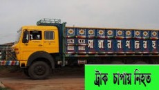 ময়মনসিংহে ট্রাকচাপায় একই পরিবারের ৬ জনের মৃত্যু