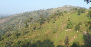 রুমা-থানচিতে কেএনএফ তাণ্ডবের ঘটনায় আটটি মামলা