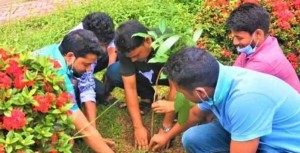 সারাদেশে পাঁচ লাখ বৃক্ষ রোপণ কর্মসূচি পালন করছে ছাত্রলীগ