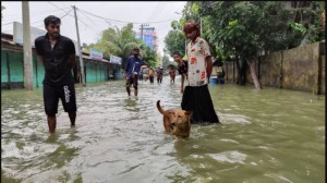 সিলেটে বন্যা পরিস্থিতিঃ ওসমানী হাসপাতালে পানি