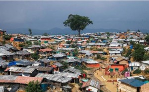 আধিপত্য বিস্তারকে কেন্দ্র করে সন্ত্রাসীদের গুলিতে তিনজন রোহিঙ্গা নিহত